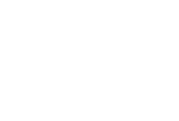 DM logo